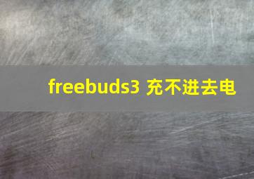 freebuds3 充不进去电